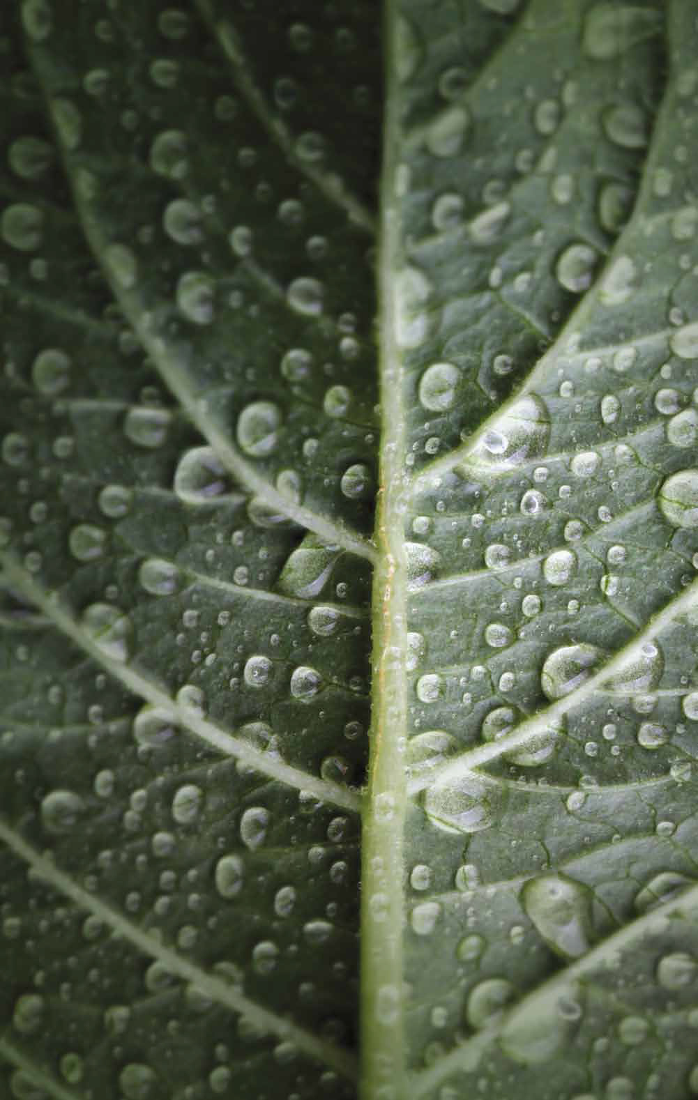 Environmental Protection