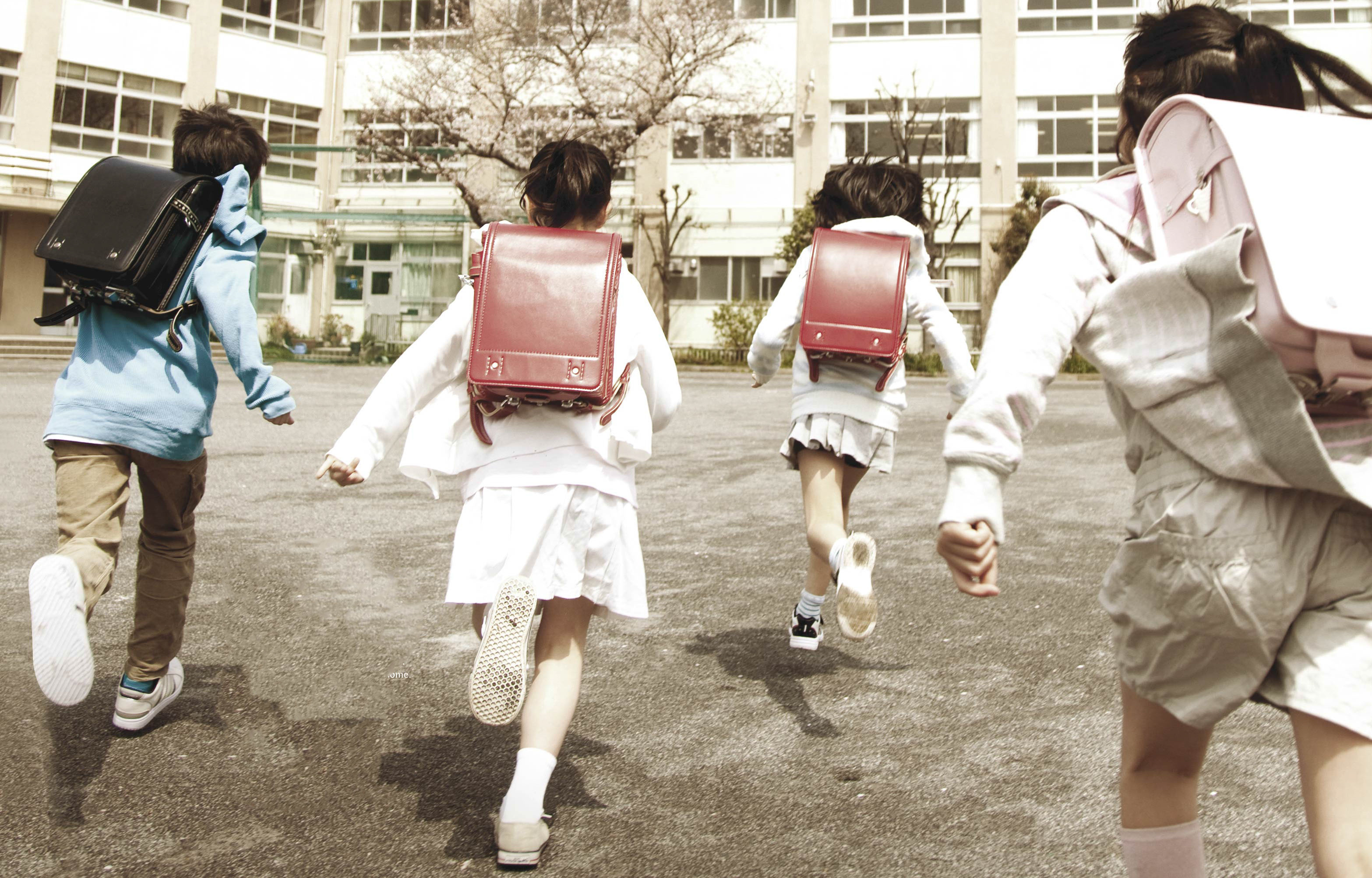JadeScape_Nearby Schools