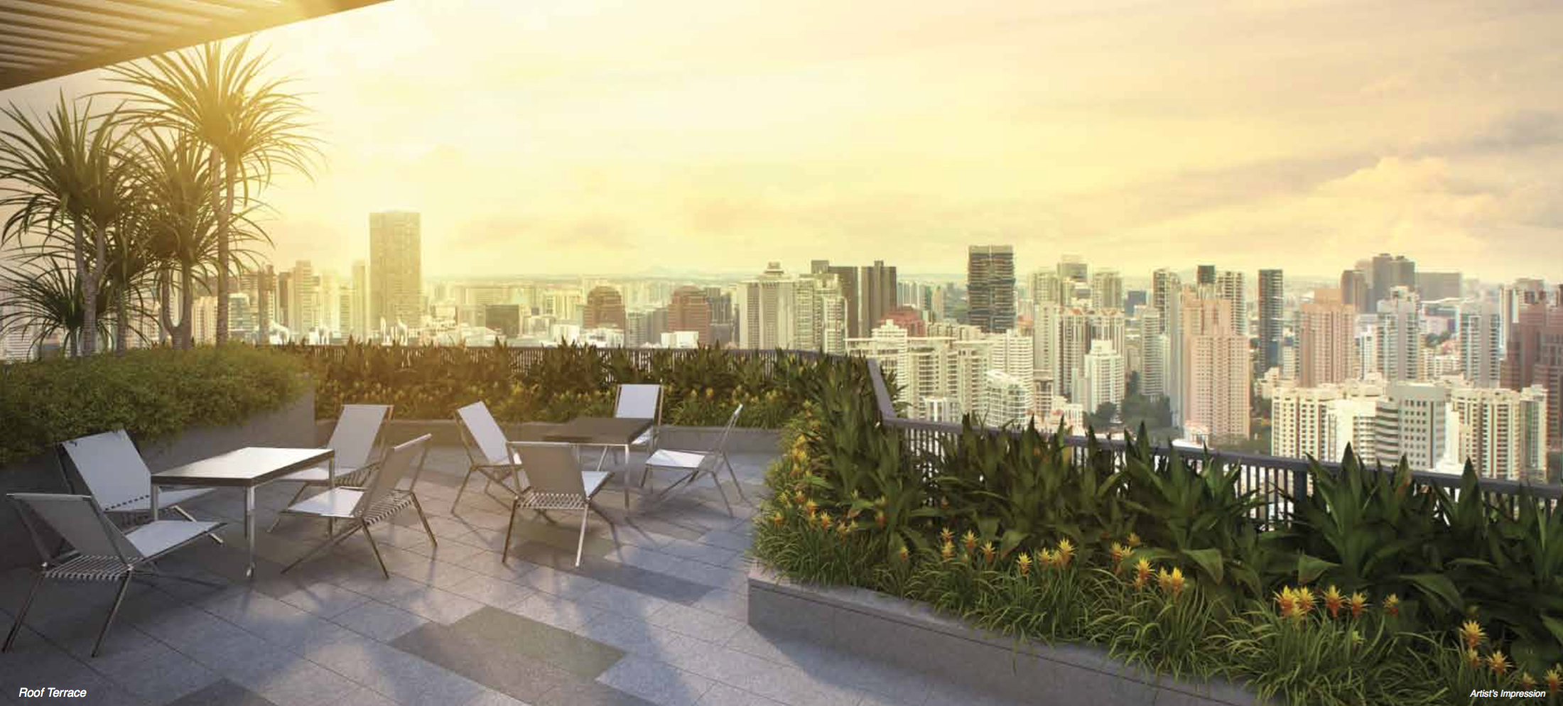 rooftop terrace