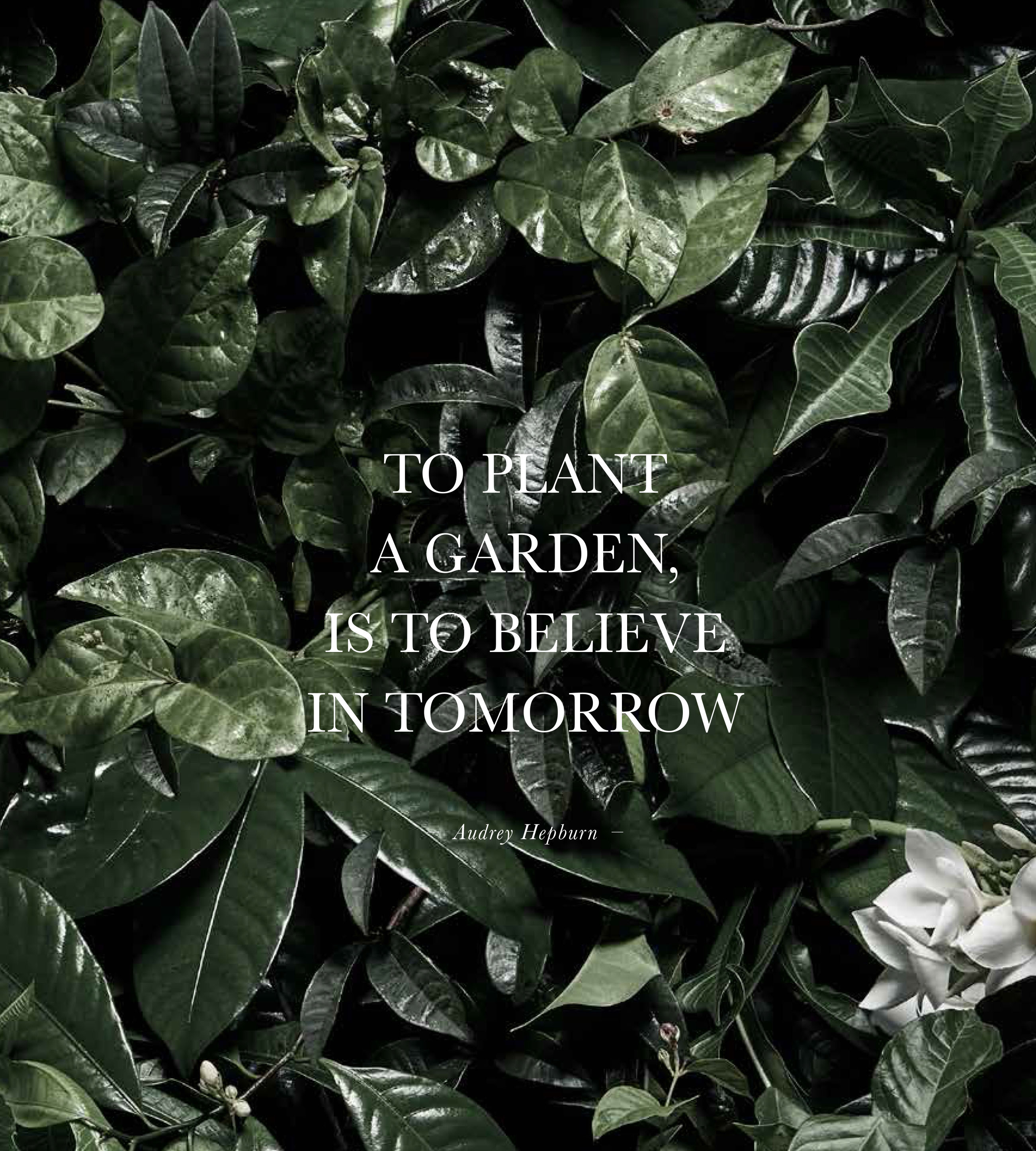 The Garden Residences_Garden