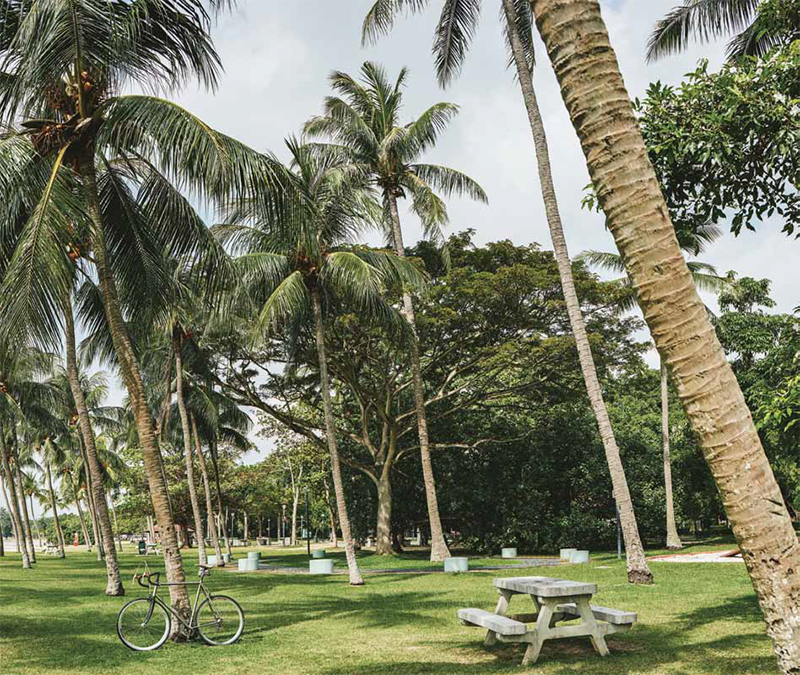 Amber 45_EAST COAST PARK