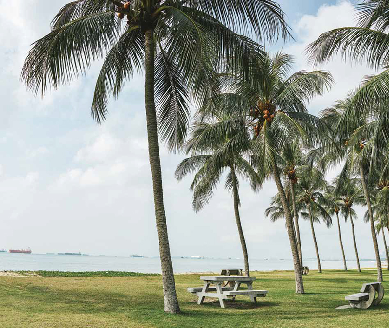 Amber 45_EAST COAST PARK2