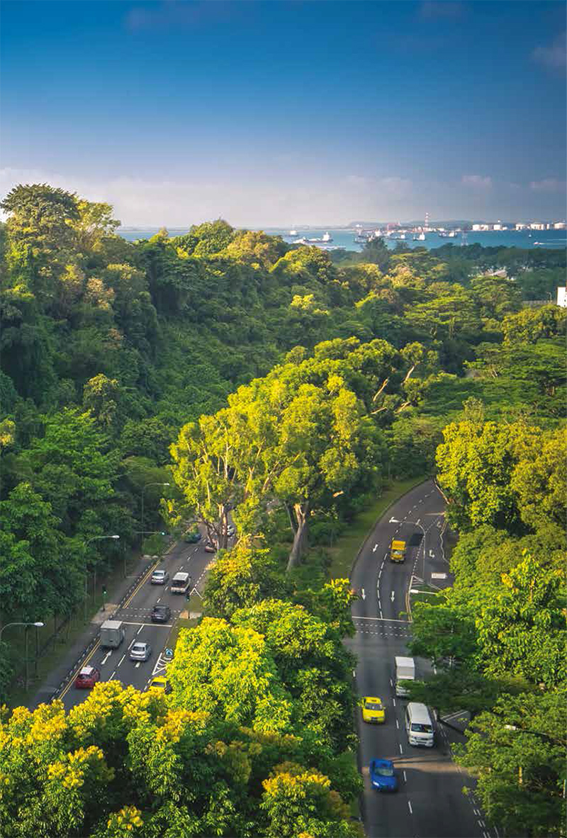 ave_south_One with Naturepsd