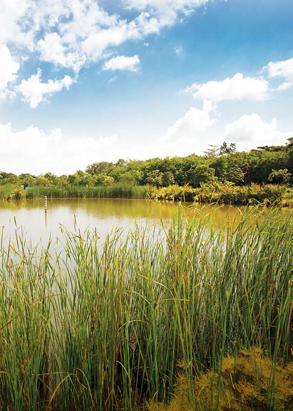Parc Botannia_Nature awakens your senses