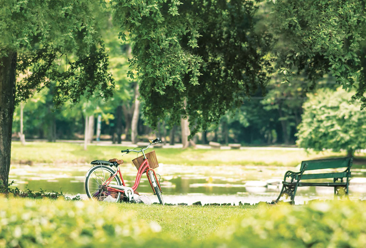 Parc Botannia_Nature holds the key
