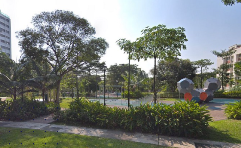 Activity Park