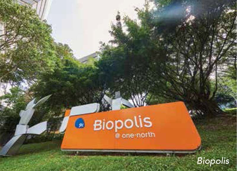 Hyll-on-Holland-Biopolis